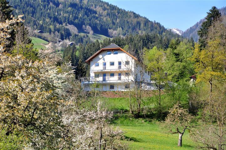 Haus Pflaum Dellach im Drautal Exterior foto